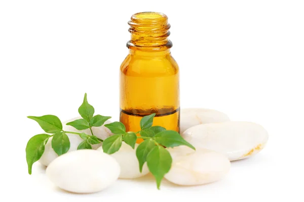 Aromatherapy oil — Stock Photo, Image