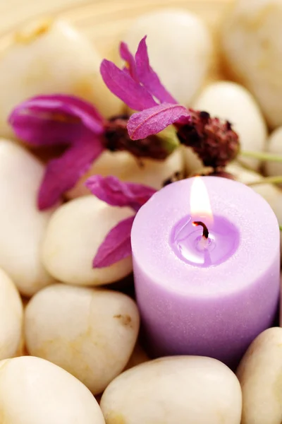 stock image Candle and lavender