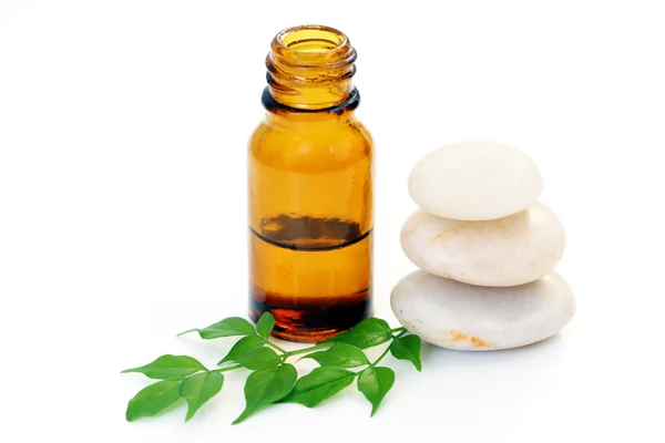 Botella Aceite Aromaterapia Hojas Verdes Frescas Tratamiento Belleza — Foto de Stock