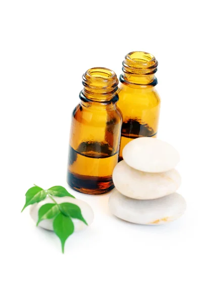 Fles Van Aromatherapie Olie Verse Groene Bladeren Schoonheidsbehandeling — Stockfoto