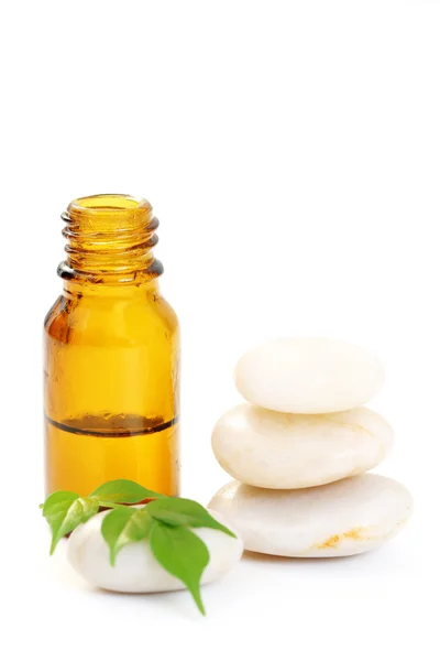 Bottle Aromatherapy Oil Fresh Green Leaves Beauty Treatment — Stock Photo, Image