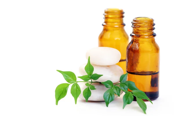 Bottle Aromatherapy Oil Fresh Green Leaves Beauty Treatment — Stock Photo, Image