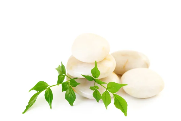 stock image stack of white stones and green leaves on white