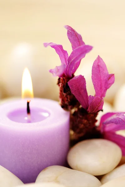 Candle and lavender — Stock Photo, Image