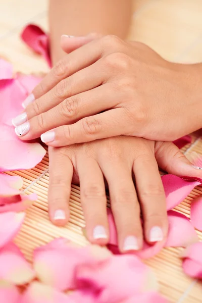 Mãos com pétalas de rosa — Fotografia de Stock