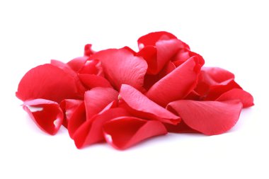 Red rose petals clipart