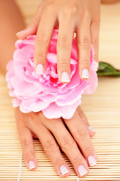 ピンクのローズ 美容トリートメントと美しい女性の手 — ストック写真