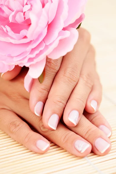 Mooie Vrouwelijke Handen Met Roze Roos Schoonheidsbehandeling — Stockfoto