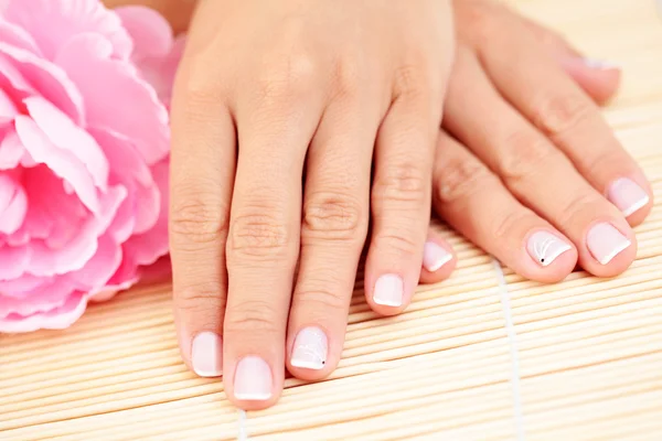 Gyönyörű Női Kéz Rózsaszín Rózsa Szépségápolás — Stock Fotó