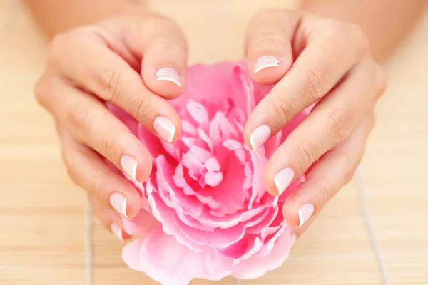 Mooie Vrouwelijke Handen Met Roze Roos Schoonheidsbehandeling — Stockfoto