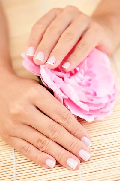 Beautiful Female Hands Pink Rose Beauty Treatment — Stock Photo, Image