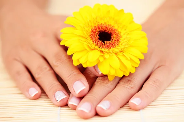 Belas Mãos Femininas Com Gerbera Amarela Tratamento Beleza — Fotografia de Stock