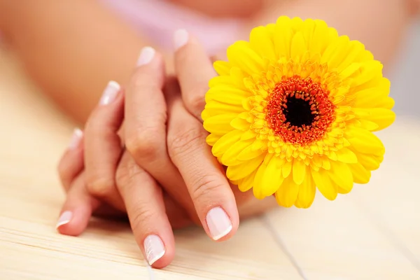 Belas Mãos Femininas Com Gerbera Amarela Tratamento Beleza — Fotografia de Stock