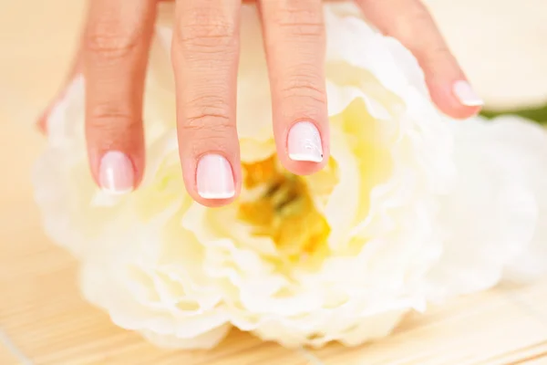 Belas Mãos Femininas Com Rosa Branca Tratamento Beleza — Fotografia de Stock