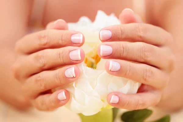 Mooie Vrouwelijke Handen Met Witte Roos Schoonheidsbehandeling — Stockfoto