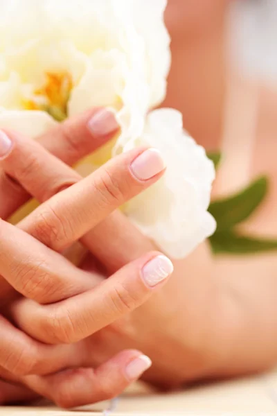 Όμορφα Γυναικεία Χέρια Λευκό Τριαντάφυλλο Περιποίηση Ομορφιάς — Φωτογραφία Αρχείου