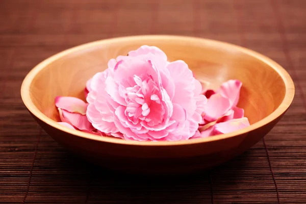 stock image bowl with beautiful pink flowers - beauty treatment