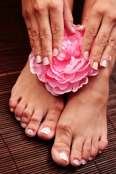 セクシーな女性の足と美容トリートメントの花の Handswith ボウル — ストック写真