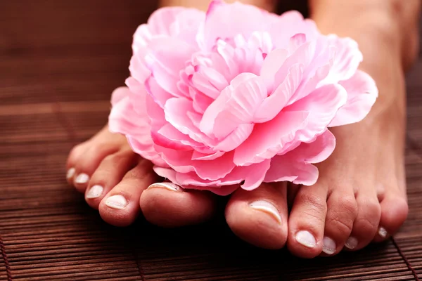 Beautiful feet — Stock Photo, Image