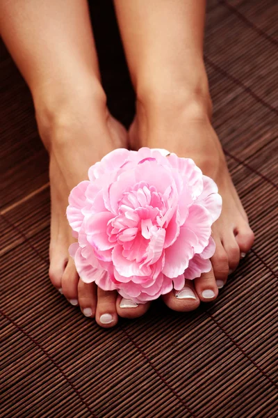 Sexy Weibliche Füße Mit Blumenschale Schönheitsbehandlung — Stockfoto