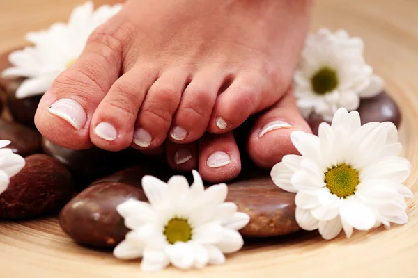 Feet and pebbles — Stock Photo, Image