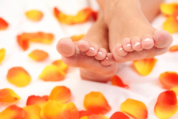 白い羽毛布団 美容治療にバラの花びらを持つセクシーな女性の足 — ストック写真