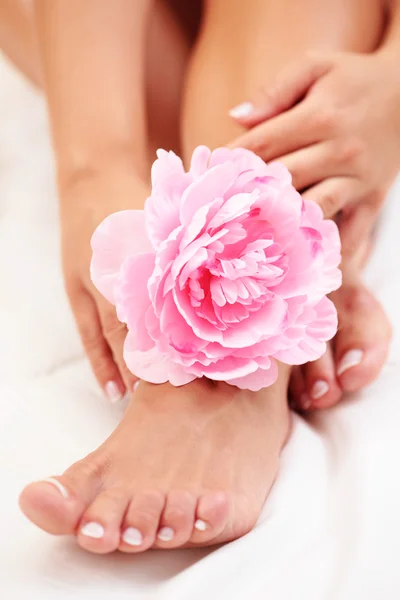 Сексуальні Жіночі Ноги Руки Рожевою Трояндою Білому Ковдрі — стокове фото