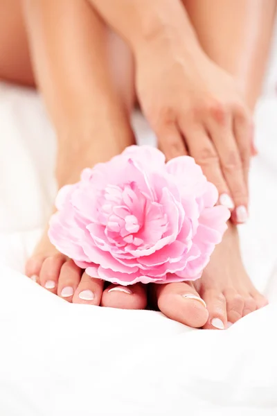 セクシーな女性の足および白い羽毛布団にピンクのバラと手 — ストック写真