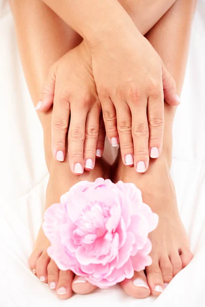 セクシーな女性の足および白い羽毛布団にピンクのバラと手 — ストック写真