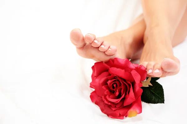 Σέξι Γυναικεία Πόδια Κόκκινο Τριαντάφυλλο Λευκό Πάπλωμα — Φωτογραφία Αρχείου