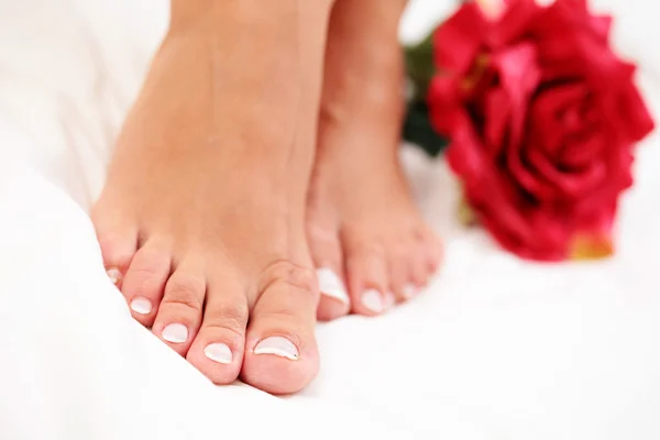 Sexy Ženské Nohy Rudou Růži Bílé Povlaky — Stock fotografie