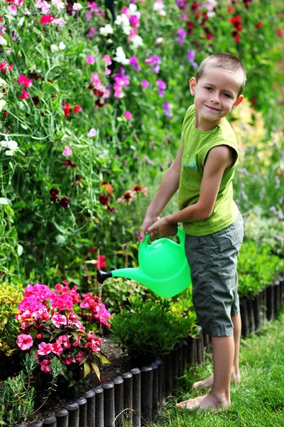 Pequeno jardineiro — Fotografia de Stock
