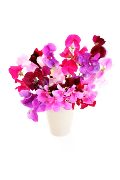 Bunch Sweet Pea Flowers White Background Flowers Plants — Stock Photo, Image