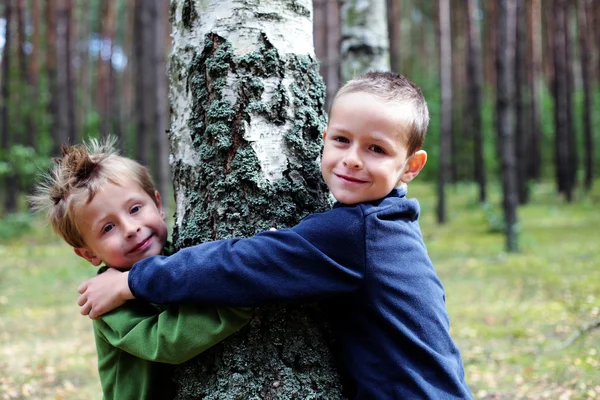 Boys and birch tree — Stock Photo, Image