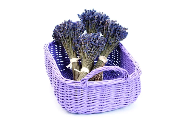 Korg Med Lavendel Blommor Vit Blommor Och Växter用薰衣草花白色 上篮鲜花和植物 — 图库照片