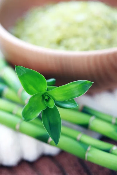 Bir Tutam Yeşil Banyo Bambu Tuzu Güzellik Tedavisi — Stok fotoğraf