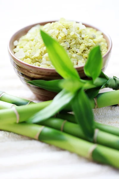 Bolw Green Bath Bamboo Salt Beauty Treatment — Stock Photo, Image