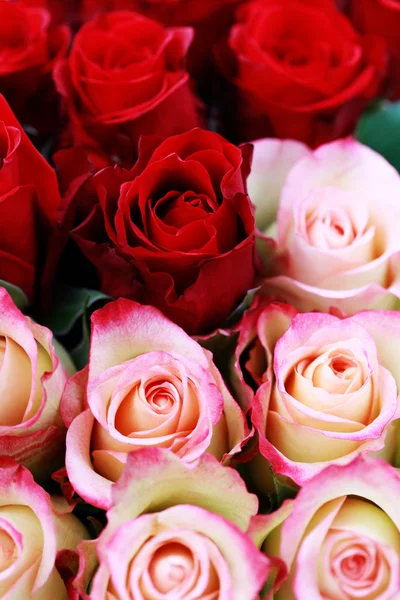 Güzel Güllerin Arka Planı Çiçekler Bitkiler — Stok fotoğraf
