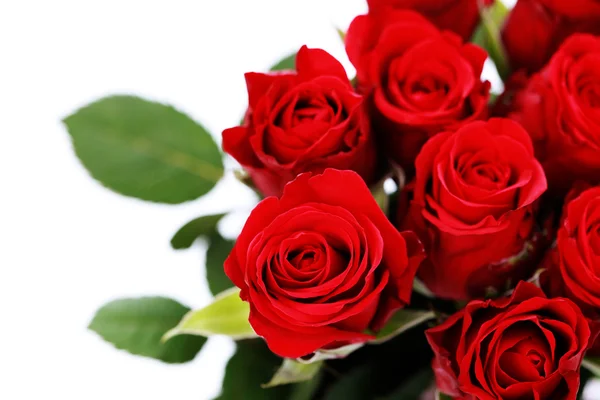 Μπουκέτο Από Κόκκινα Τριαντάφυλλα Άσπρο Φόντο Λουλούδια Και Φυτά — Φωτογραφία Αρχείου