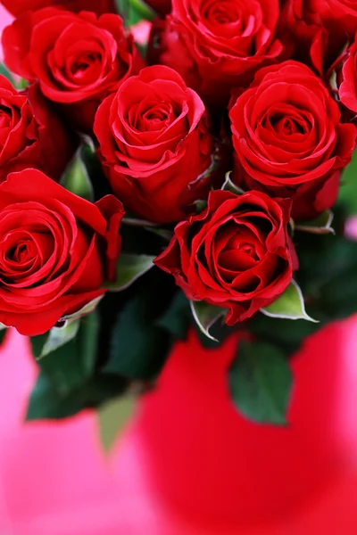 Bunch Beautiful Roses Flowers Plants — Stock Photo, Image