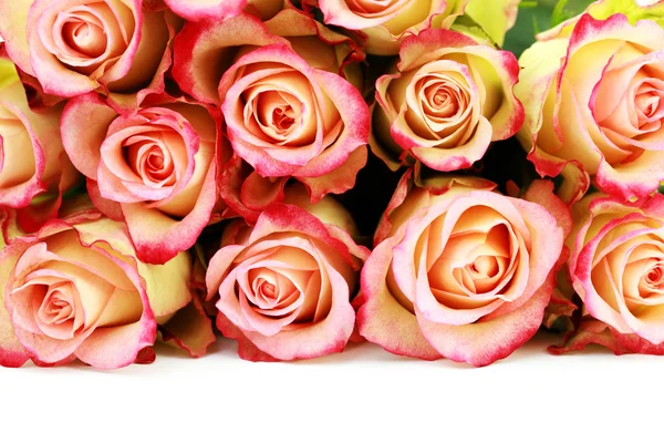 白色背景的一束玫瑰 花朵和植物 — 图库照片