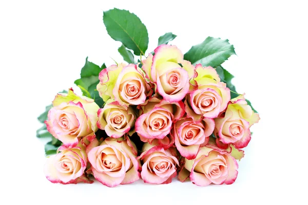 Svazek Růží Bílém Pozadí Květiny Rostliny — Stock fotografie