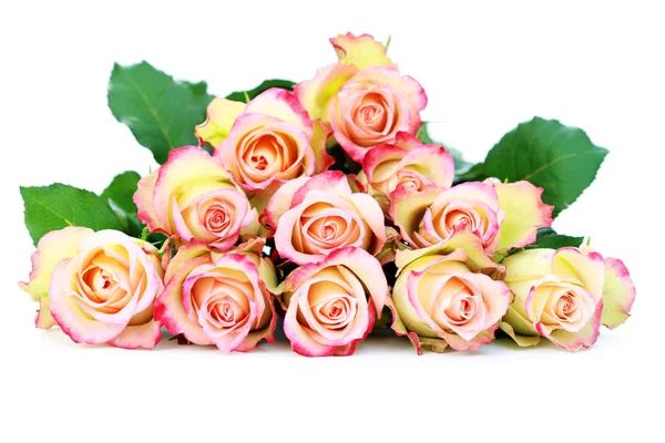 Grupo Rosas Fundo Branco Flores Plantas — Fotografia de Stock