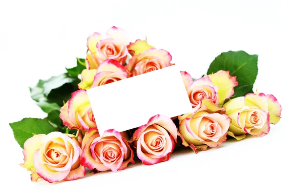 Grupo Rosas Fundo Branco Flores Plantas — Fotografia de Stock