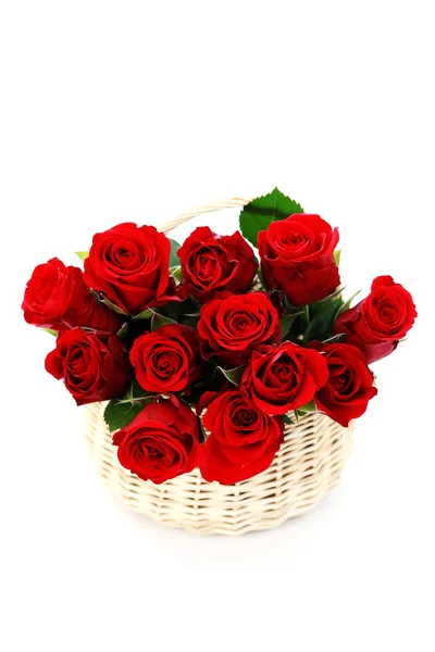 Koš plný červených růží — Stock fotografie