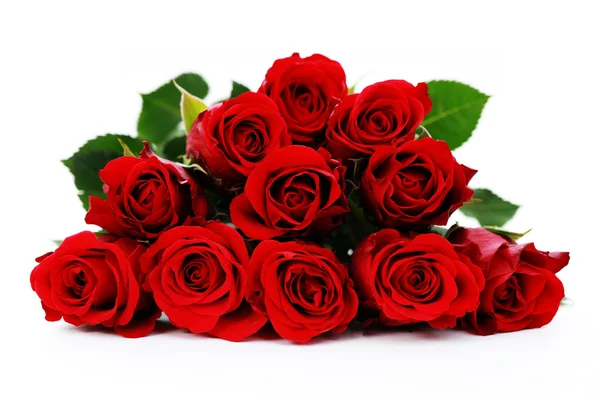 Ramo Belas Rosas Flores Fábricas — Fotografia de Stock