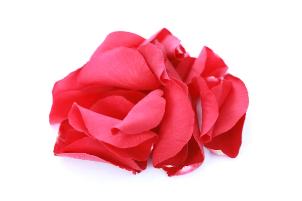 Petali Rosa Rossa Sfondo Bianco Trattamento Bellezza — Foto Stock