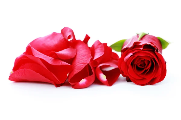 Red Rose Petals White Background Beauty Treatment — Stock Photo, Image