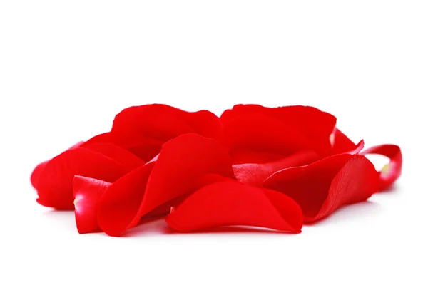 Red Rose Petals White Background Beauty Treatment — Stock Photo, Image