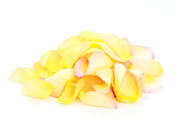 Petali Rosa Sfondo Bianco Trattamento Bellezza — Foto Stock